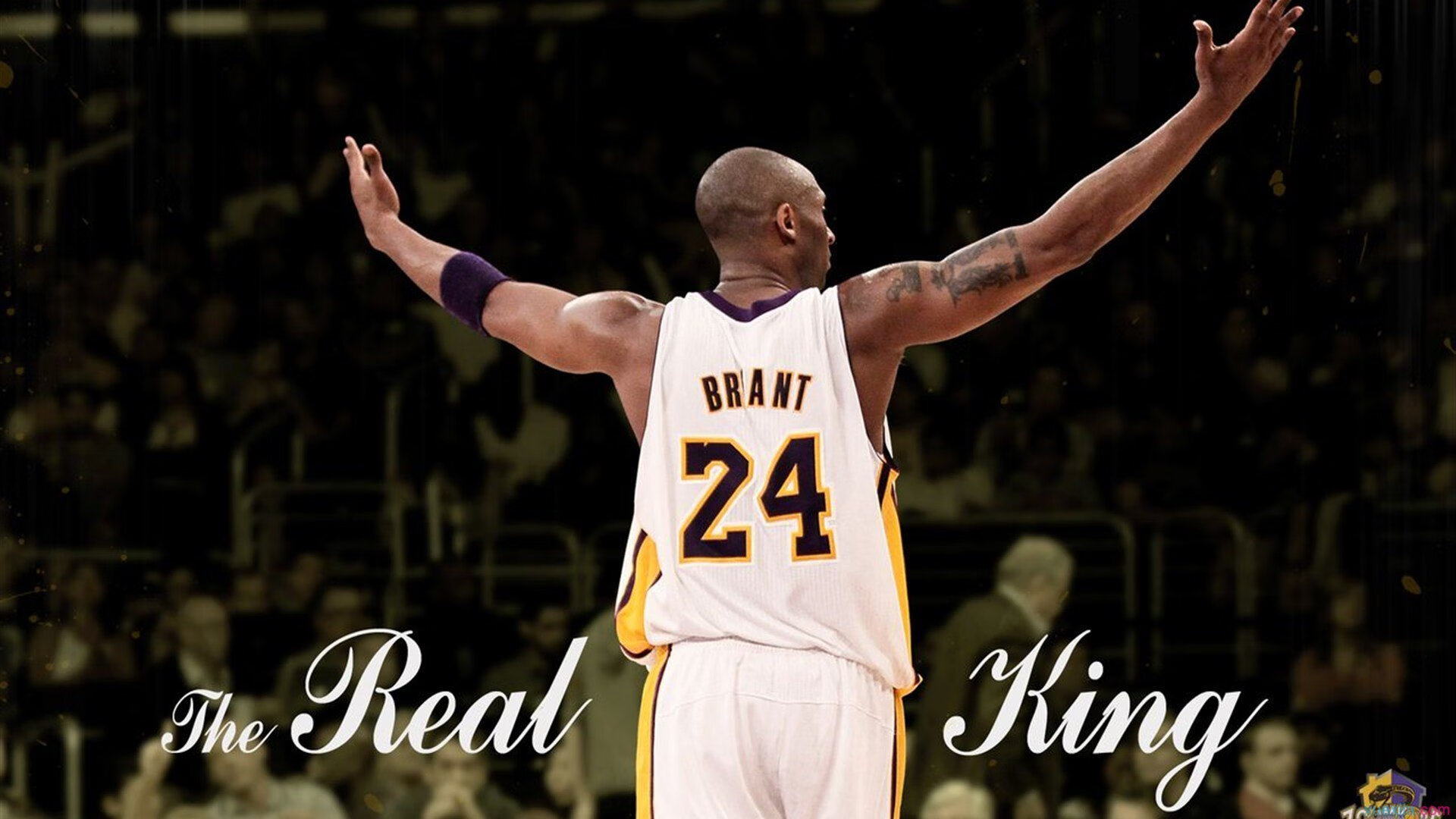 直播分析:专家解读季后赛战局走向,季后赛在线直播