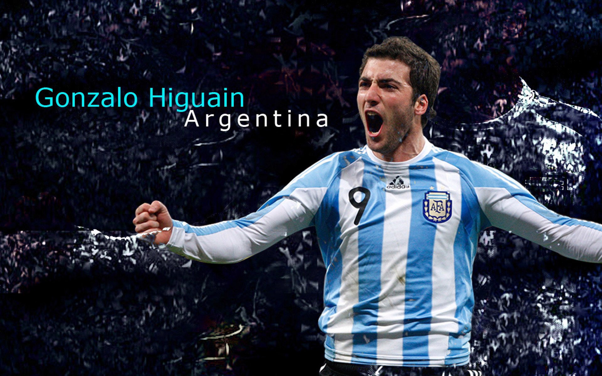 粉丝投票：你最期待哪个车手夺冠？，最佳车手投票